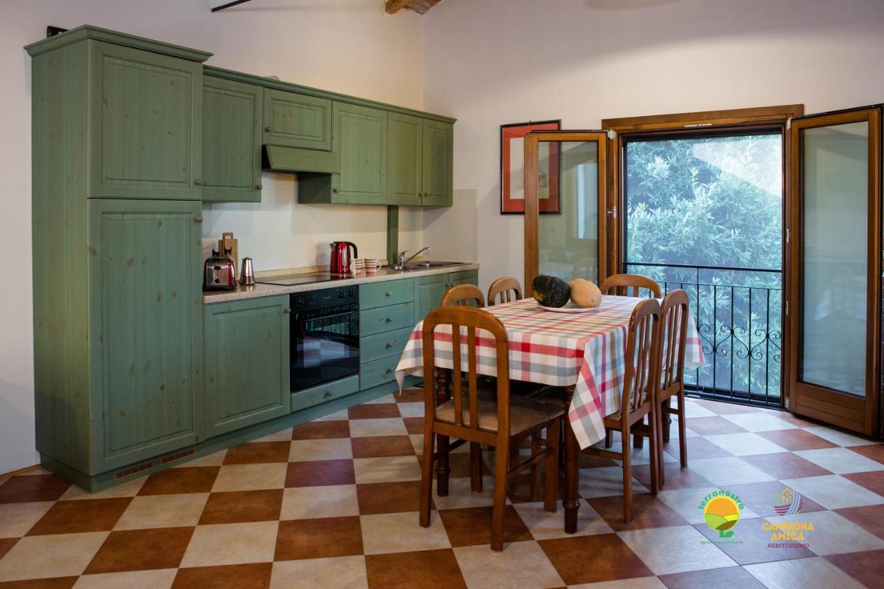 La Via Antiga Apartment Cittanova  Exterior photo